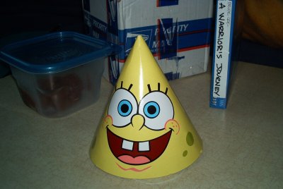 The world's most absorbant party hat.